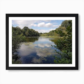 Reflections In A Lake Art Print