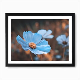 Blue Cosmos Flower Art Print