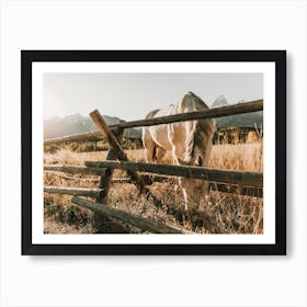 Rustic Horse Morning Art Print