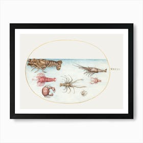 Lobster, Squilla Mantis, And Other Crustaceans (1575–1580), Joris Hoefnagel Art Print