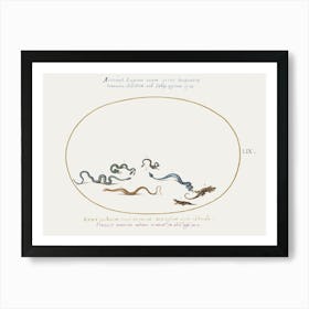 Snakes And A Lizard, Joris Hoefnagel Art Print