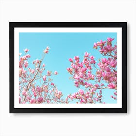Pink Bloom Art Print