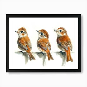 Three Birds 1 Art Print