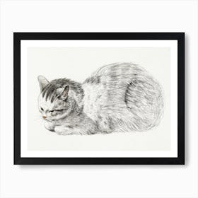 Sketch Of A Lying Cat, Jean Bernard Art Print