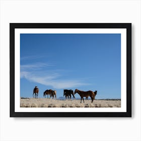 Wild Horses And Blue Skies Art Print