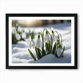 Snowdrops 1 Art Print