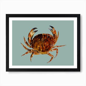 Crab On Aqua Blue Art Print