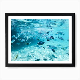 Underwater Tropical Fishes Art Print