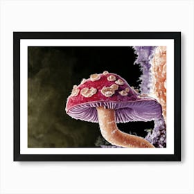 Fungus 2 Art Print