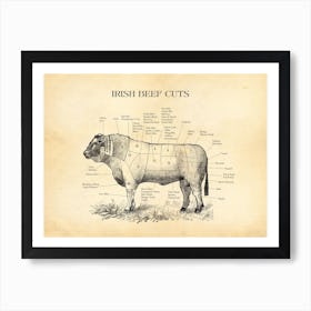 Irish Beef Cuts Butcher Chart Art Print