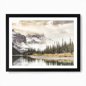 Forest Lake View Art Print