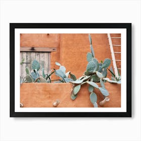 Cactus in Mexico - terracotta rooftop cacti - summer nature and travel photography by Christa Stroo Photography Art Print