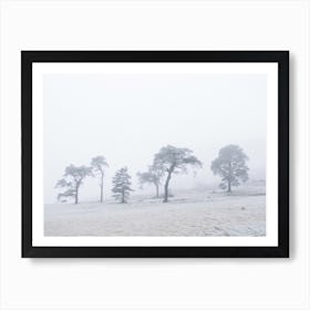 Snowy Landscape With Trees Art Print
