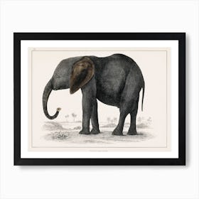 Vintage Elephant Art Print