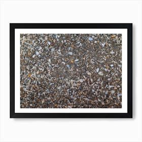 Tiny And Large Sea Shell And Rocks Texture Background 3 Art Print