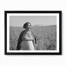 Indian Woman, Near Little Fork, Minnesota By Russell Lee Art Print