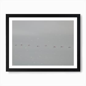 Flamingos Flying High in Namibia Art Print