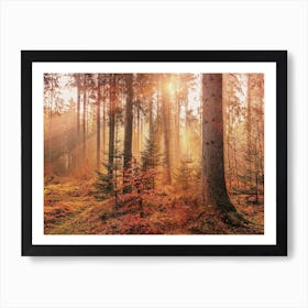 Orange Autumn Forest Art Print