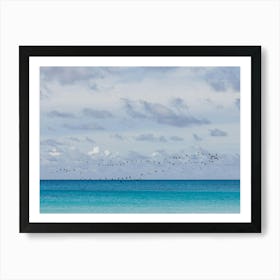 Birds Flying Over The Blue Ocean Art Print