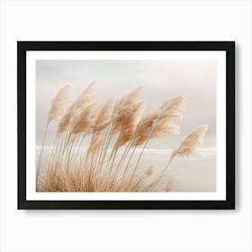 Pampas Grass At The Beach 1 Art Print