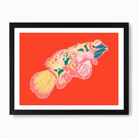 Fish Of Colours Art Print