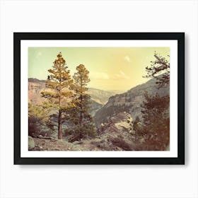 Retro Wooded Pines 5 Art Print