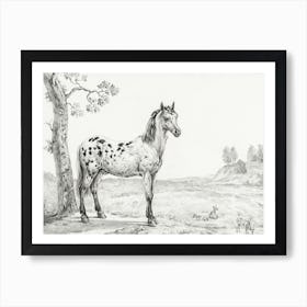 Standing Mottled Horse, Jean Bernard Art Print