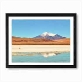 Flamingo lake reflection of snow-capped volcano Art Print