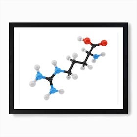 Amino Acid Arginine Art Print