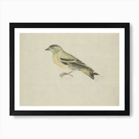 Bird On A Branch 4 Art Print