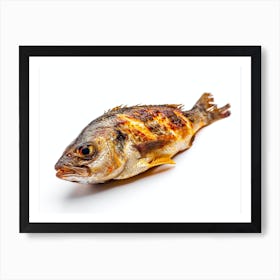 Grilled Fish Isolated On White Affiche