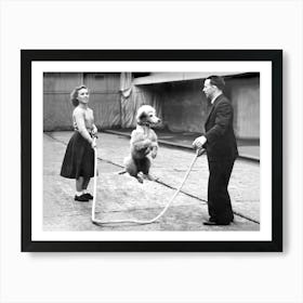 Poodle Jumping Rope, Funny Black and White Old Photo, Vintage Dog Art Art Print