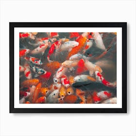 Luck Of The Koi Poster