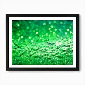 Dragonflies In Grass Art Print