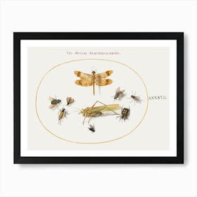Dragonfly, A Grasshopper, Houseflies, A Carrion Beetle, A Flower Longhorn Beetle, And Other Insects (1575–1580), Joris Hoefnagel Art Print