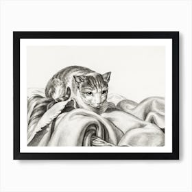 Cat Sitting In A Basket, Jean Bernard Art Print