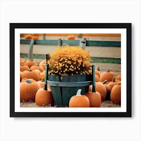 Fall Pumpkins Poster