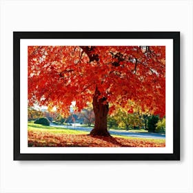 An Autumn Oak Tree Abundantly Lit Branches Spreading Widely Spanning A Slim Sleek Card Leaves Bla (2) Art Print