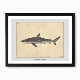 Whale Shark Grey Silhouette 4 Poster Art Print