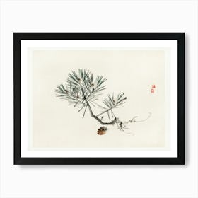 Pine, Kōno Bairei Art Print