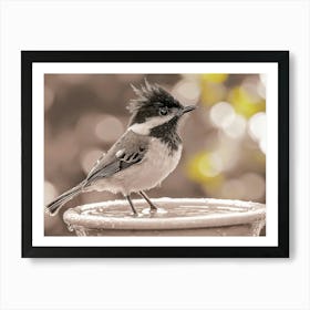 Bird On A Birdbath Poster