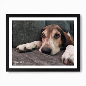 Sleepy puppy Art Print