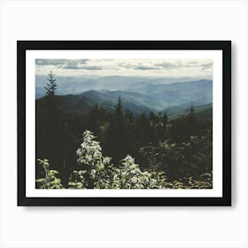 Great Smoky Mountain Wildflower Hike Art Print