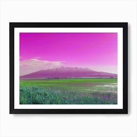 Pink Mt Blanca over Lake of Green Flowers Art Print