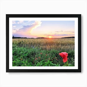 Normandy Sunset With Poppy Art Print