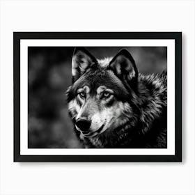Black And White Wolf Art Print