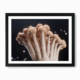 Mushrooms 1 Art Print