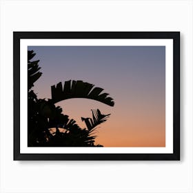 Palm tree at sunset | Purple and orange | Mediterranean summers Art Print