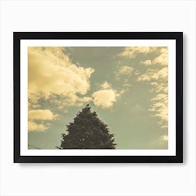 Blue sky tree Art Print