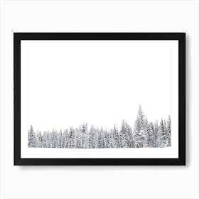 Edge Of Snowy Forest Art Print